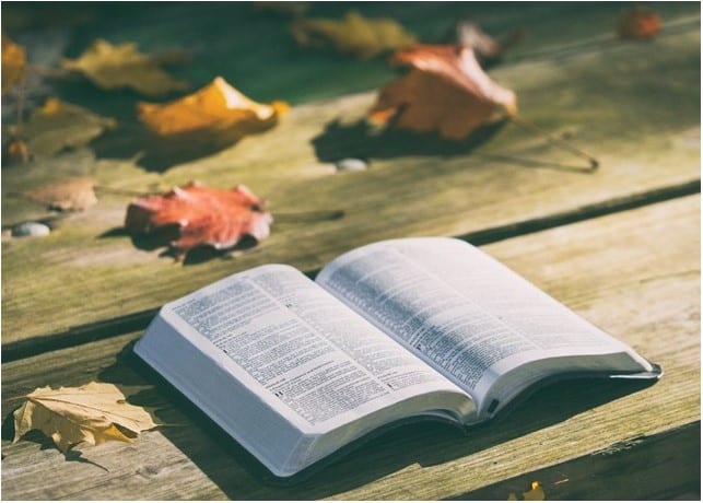 St. John's United Church | An open bible on a wooden bench with autumn leaves.