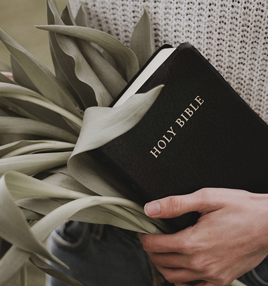 St. John's United Church | Person holding a holy bible with green leaves in the background.