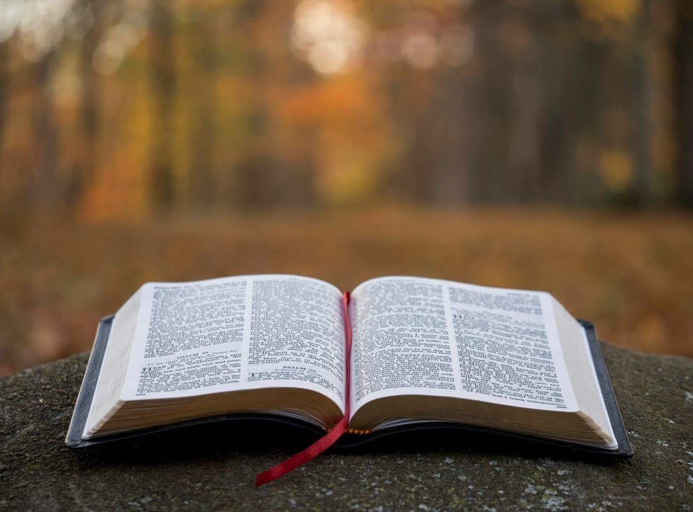 St. John's United Church | Open book with a red ribbon bookmark, placed on a stone surface in an outdoor setting with trees in the blurred background.