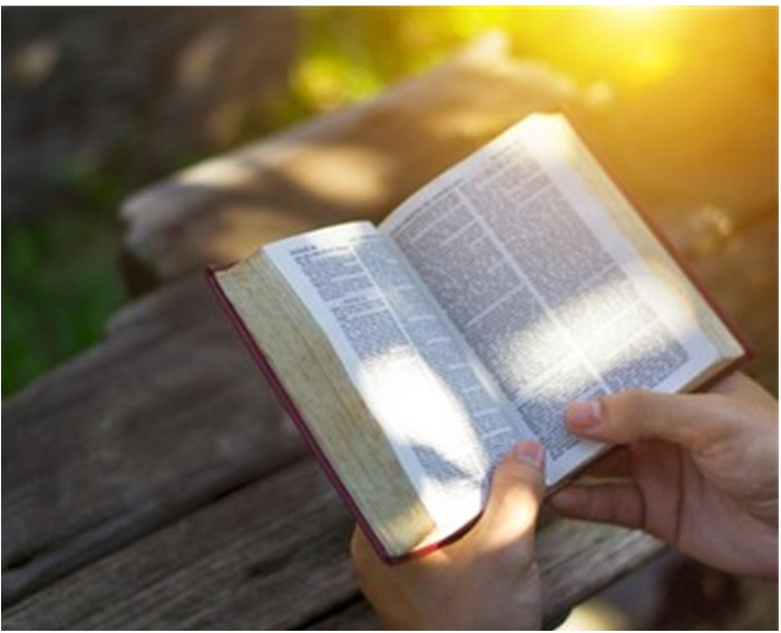 St. John's United Church | A person holds an open book while reading outdoors on a sunny day.