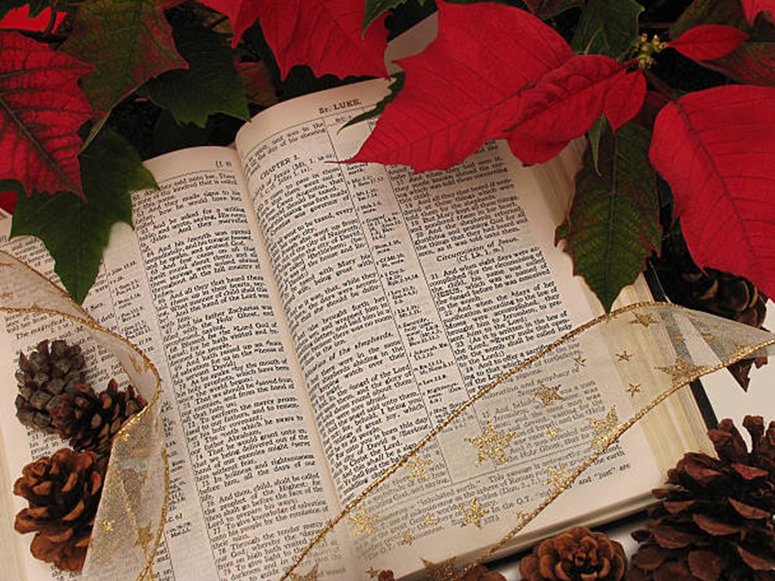 St. John's United Church | An open book surrounded by red poinsettias, pinecones, and golden ribbon.