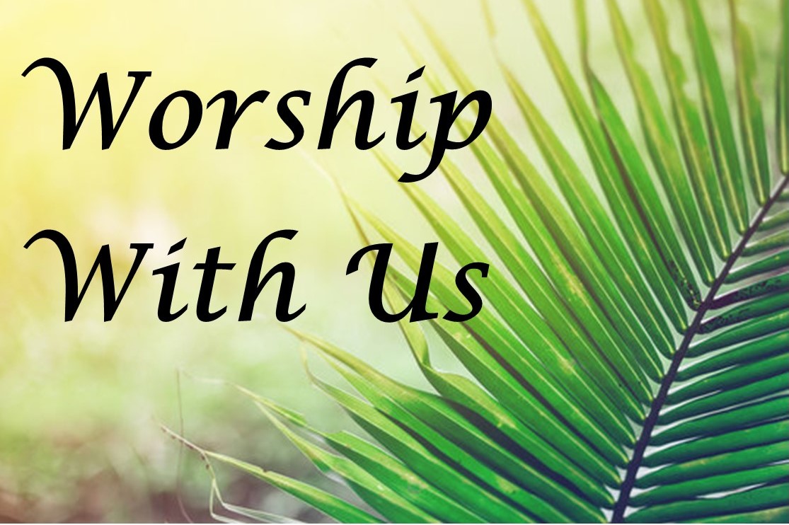 St. John's United Church | Palm leaf with text "Worship With Us" against a gradient yellow and green background.